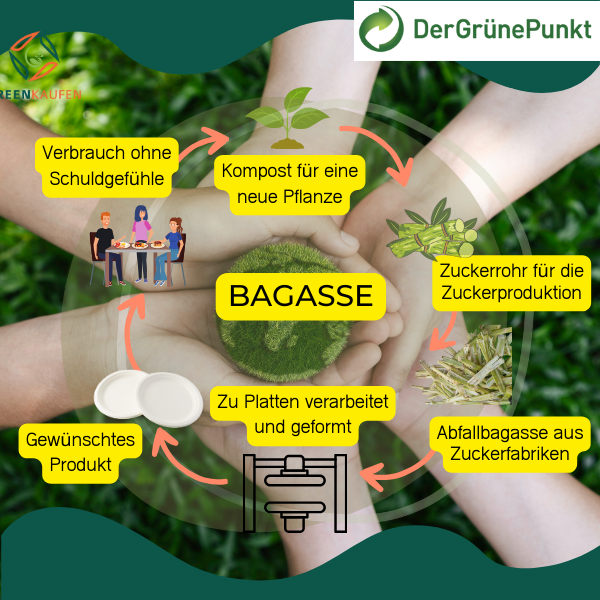 Miniaturbild: Bagasse Stable Einweg-Wärmeboxen für Menüs, 2 unterteilte Faltboxen für Snacks