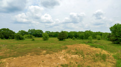 MAX_0100.jpg