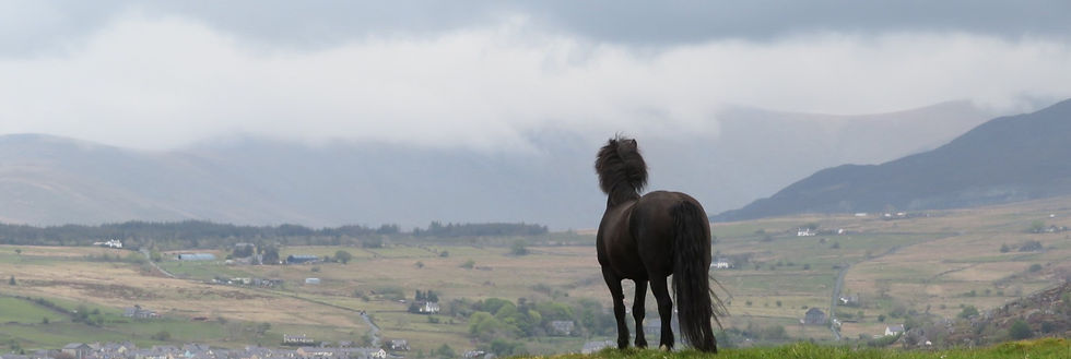 Website 10_edited.jpg