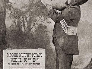 The Truth About Potatoes 