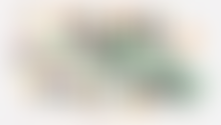 Folate Versus Folic Acid