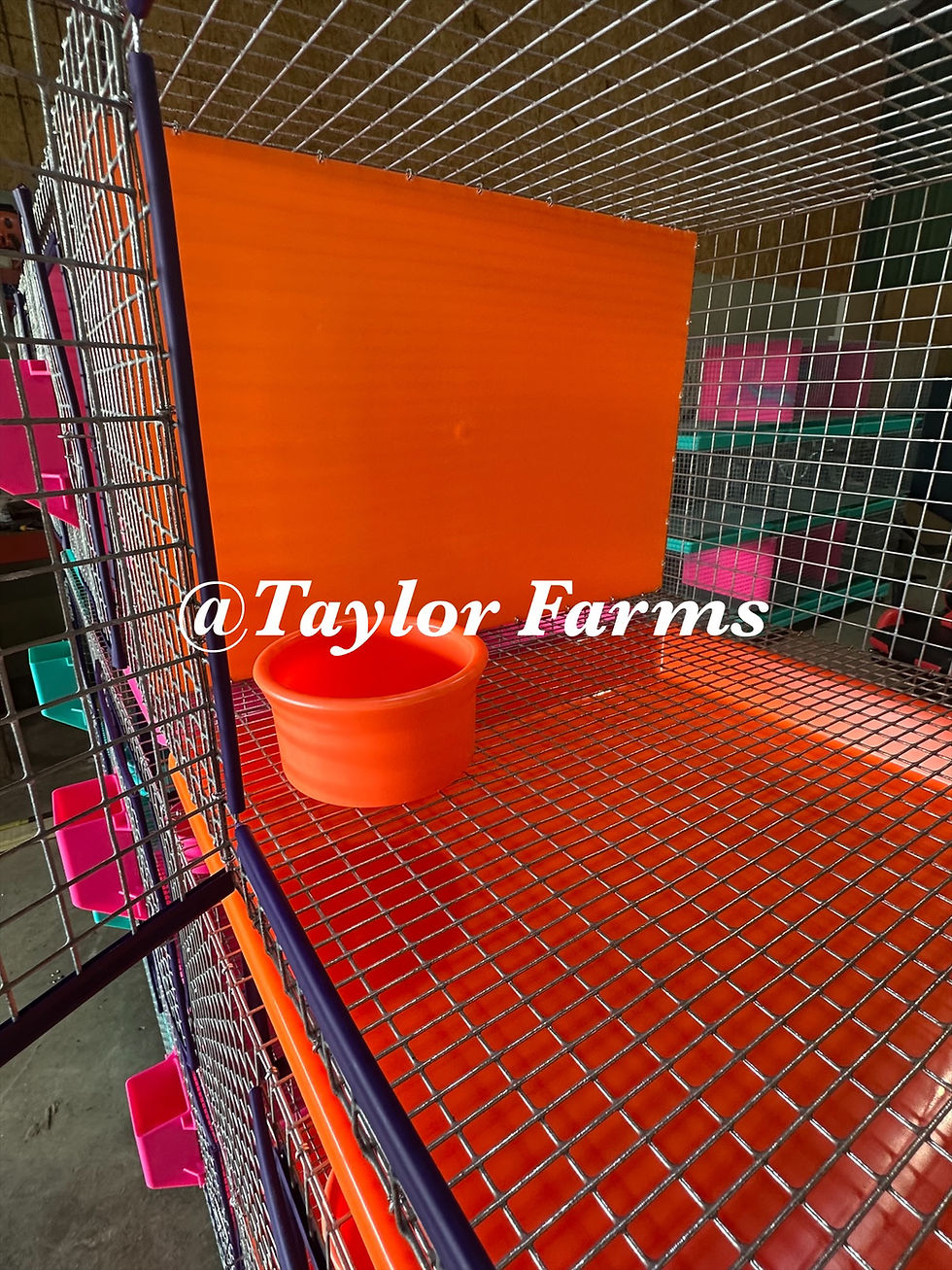 Thumbnail: Large  (26 oz) Easy Twist Rabbit Cage Bowl – Spill Resistant Feeding Bowl