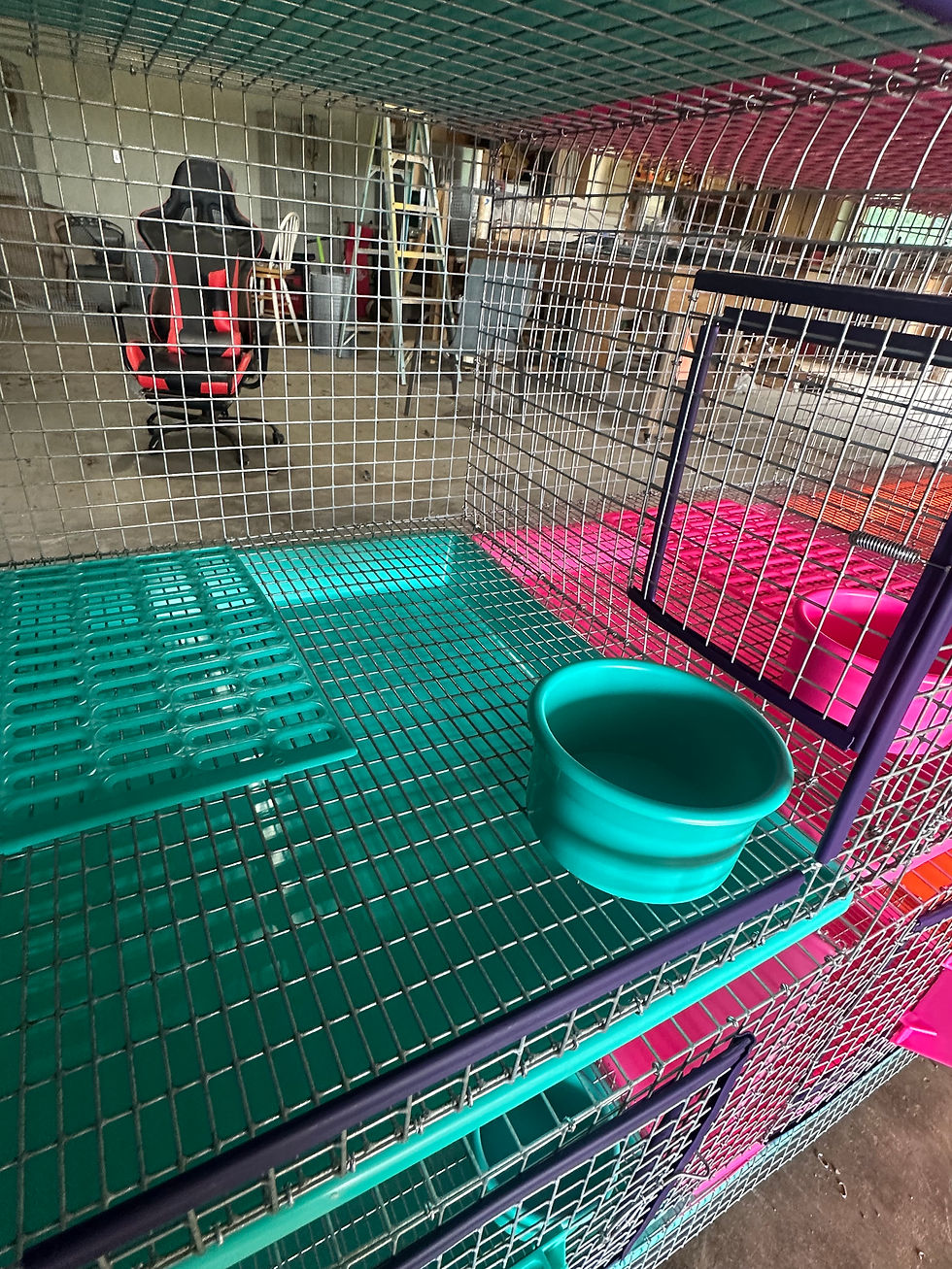 Thumbnail: Large  (26 oz) Easy Twist Rabbit Cage Bowl – Spill Resistant Feeding Bowl