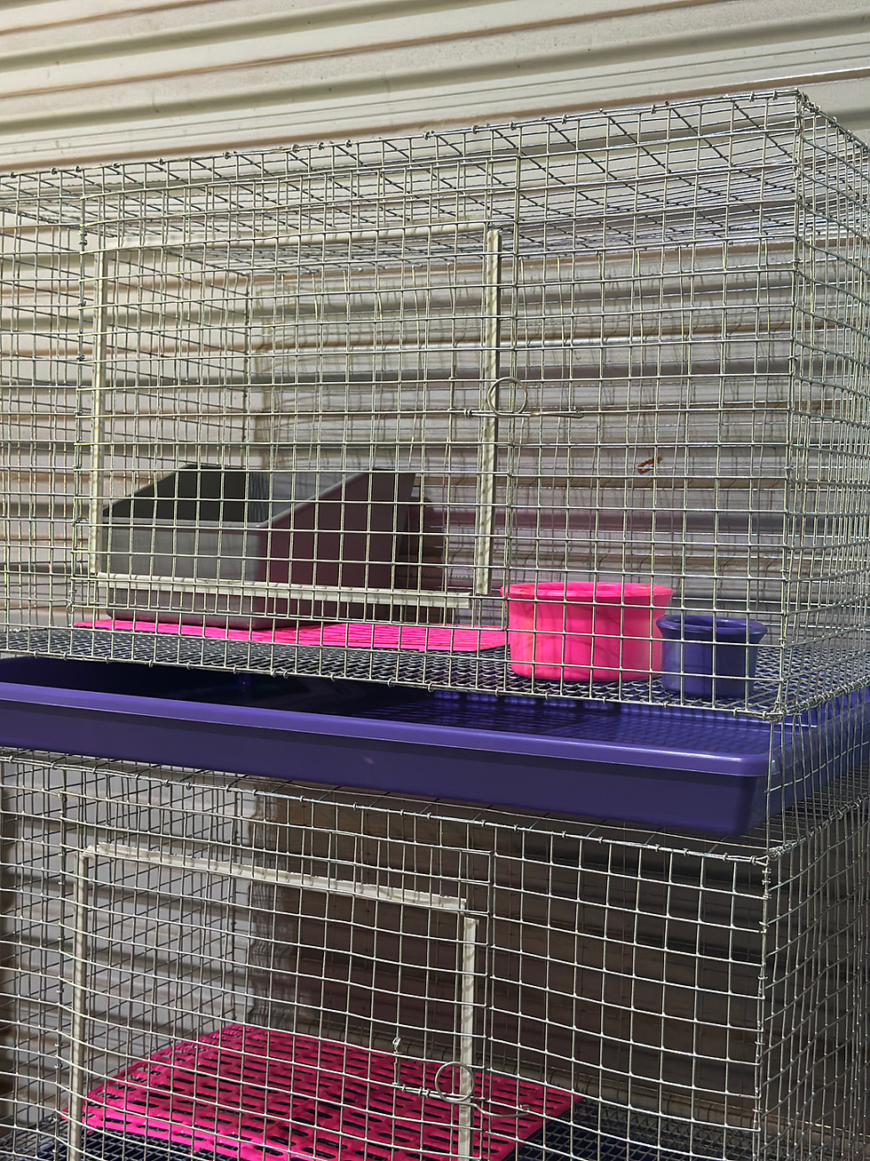 Thumbnail: Taylor Farms Series – Trio XL | 3 Bay Rabbit Cage (24x36) 