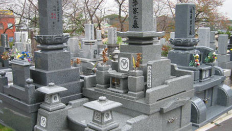 【インド産】八幡西区