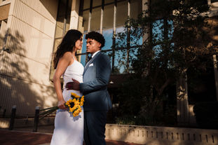 The Halcyon Days Photography, Gainesville FL