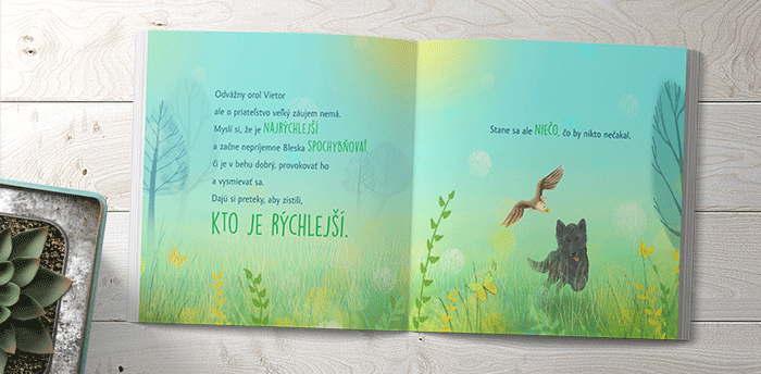 mockup_vnutro1_700px.gif