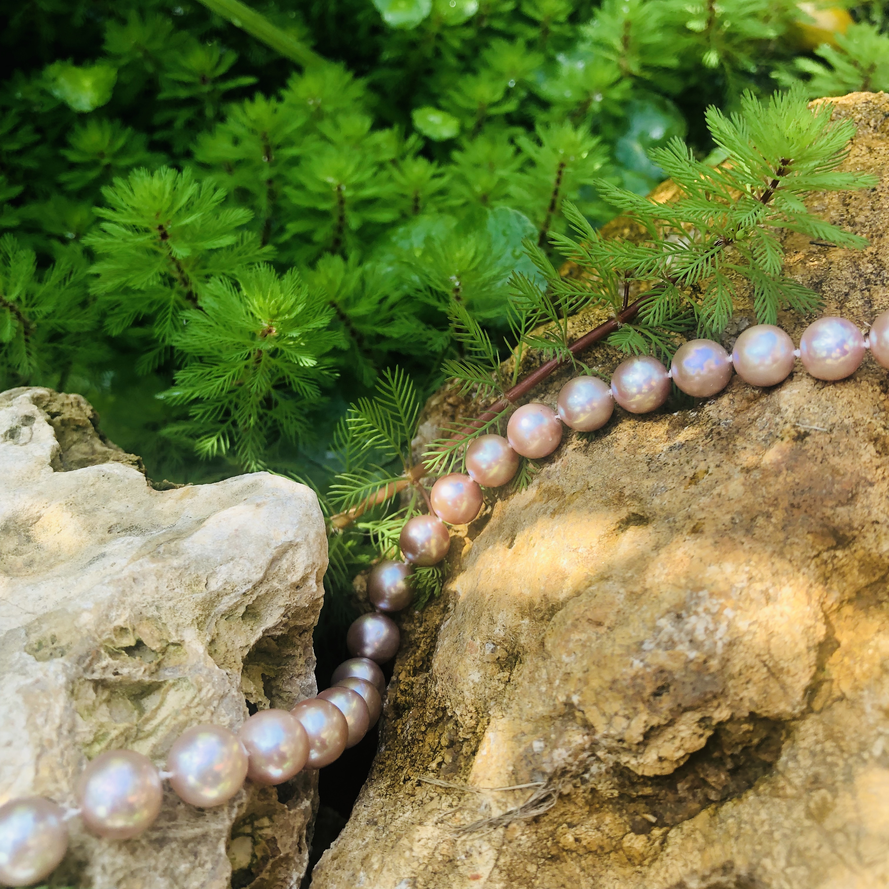 collier perles eau douce saumon ou parme