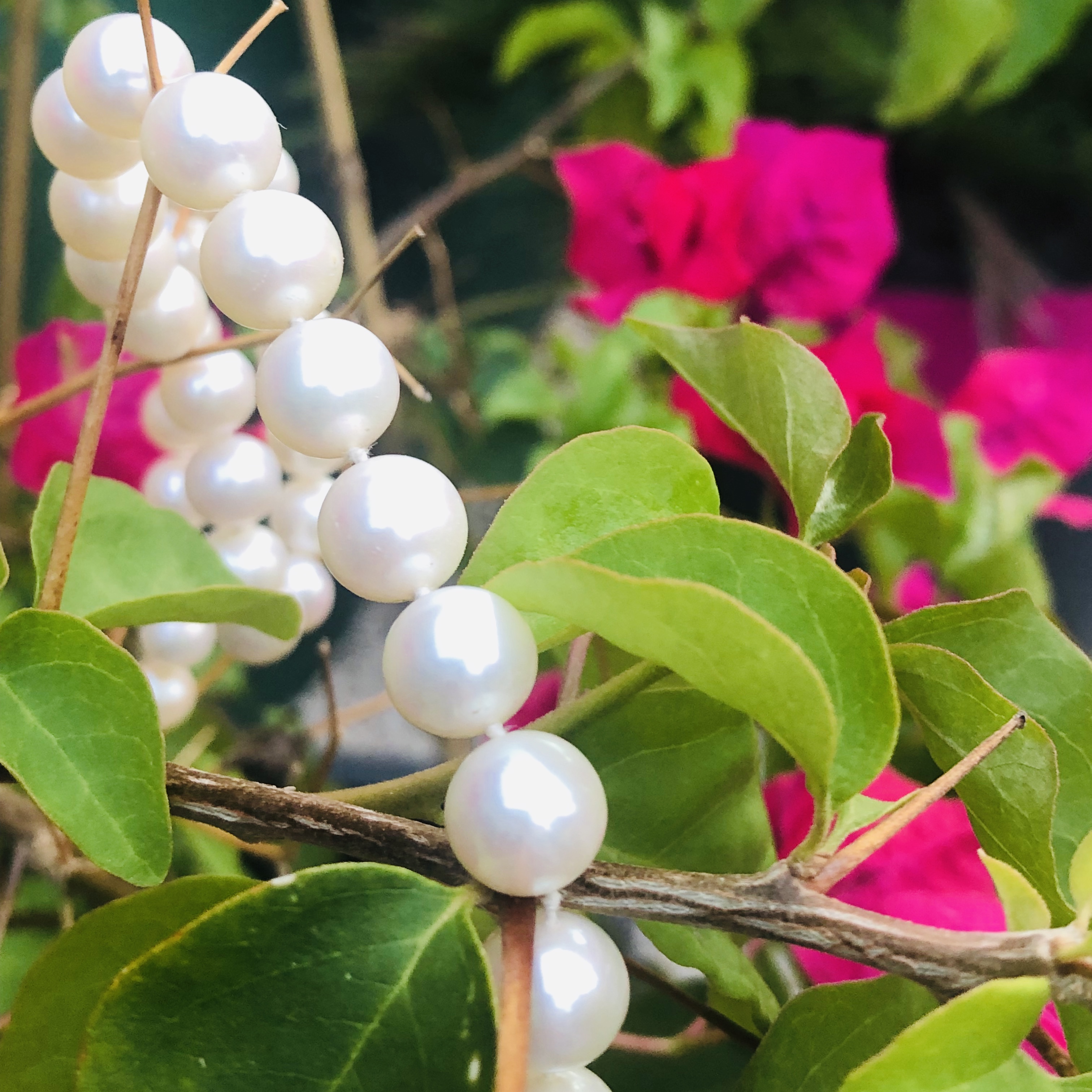 bracelet perles blanches
