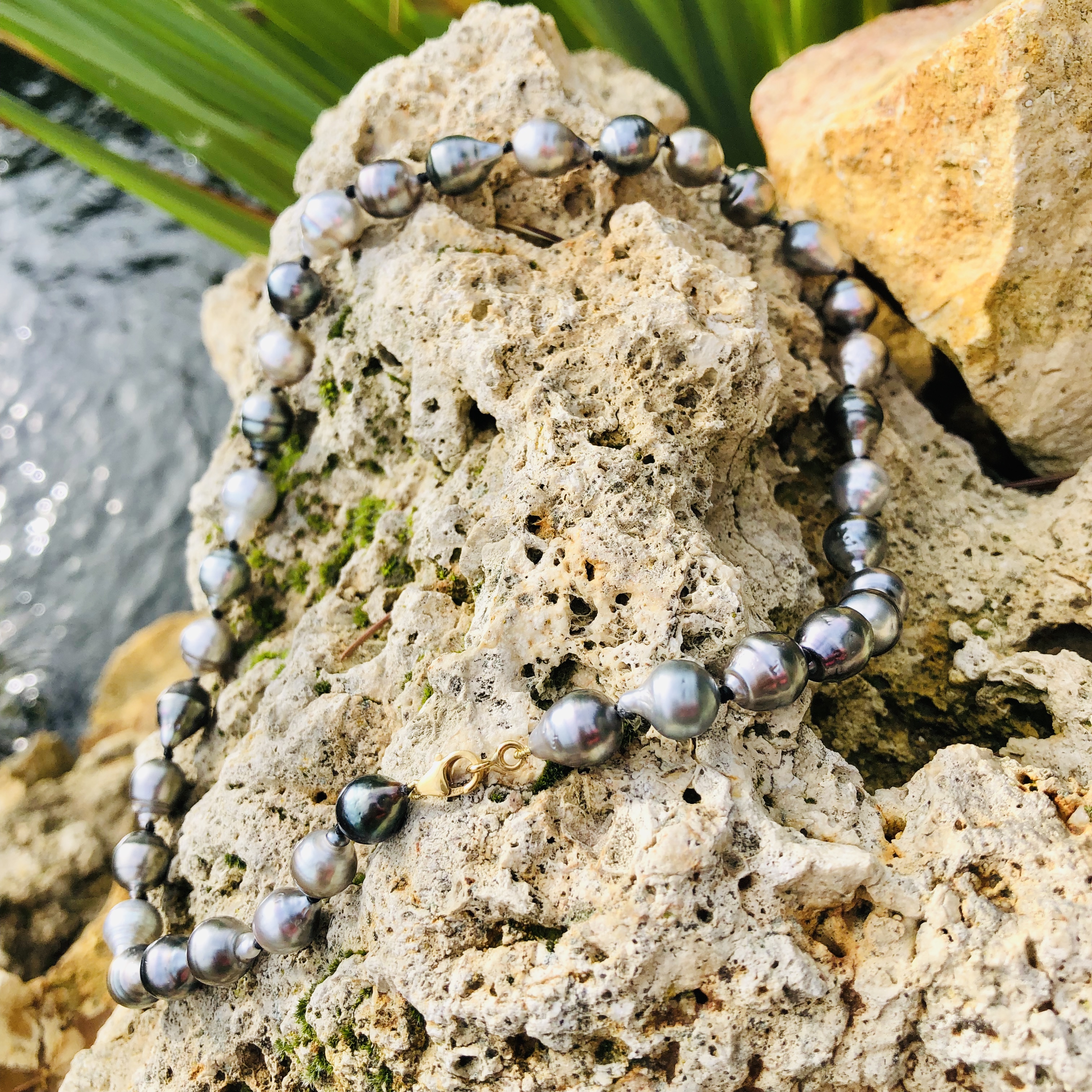 collier perles de culture de tahiti sham