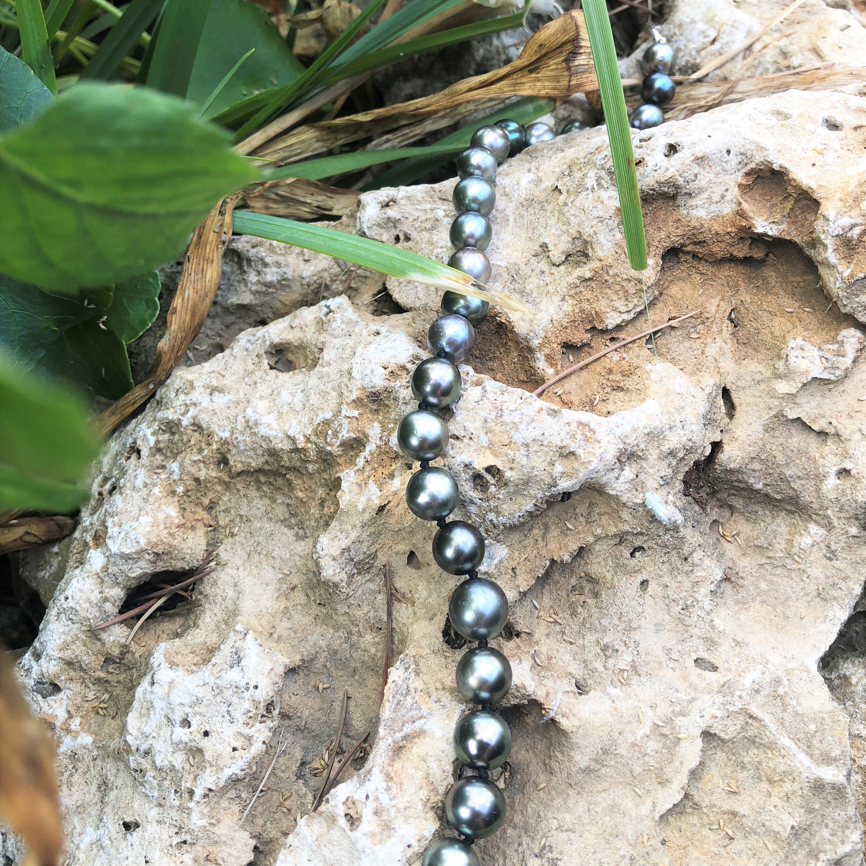 collier perles de tahiti shamani