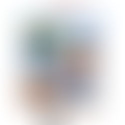 ST. LOUIS, MO AND SPRINGFIELD, IL TRIP