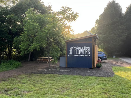 Blue farm stand, rural. Grey Dog Flowers logo painted in white.