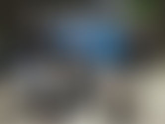 大和市ジュニア交流大会