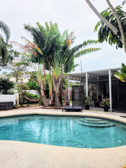 Pool Area and sunroom with tropical landscape
