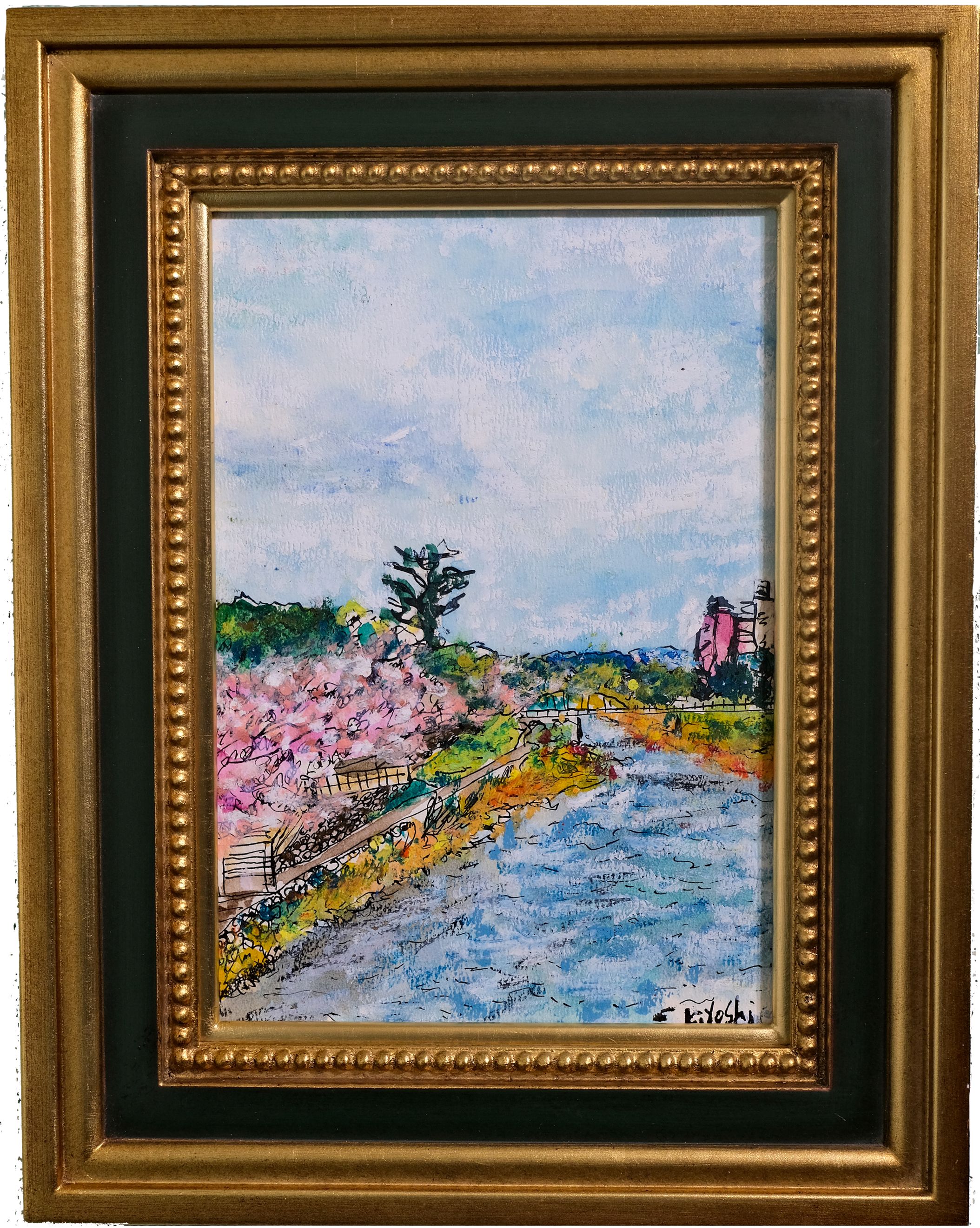 ST064 浅野川　満開の桜