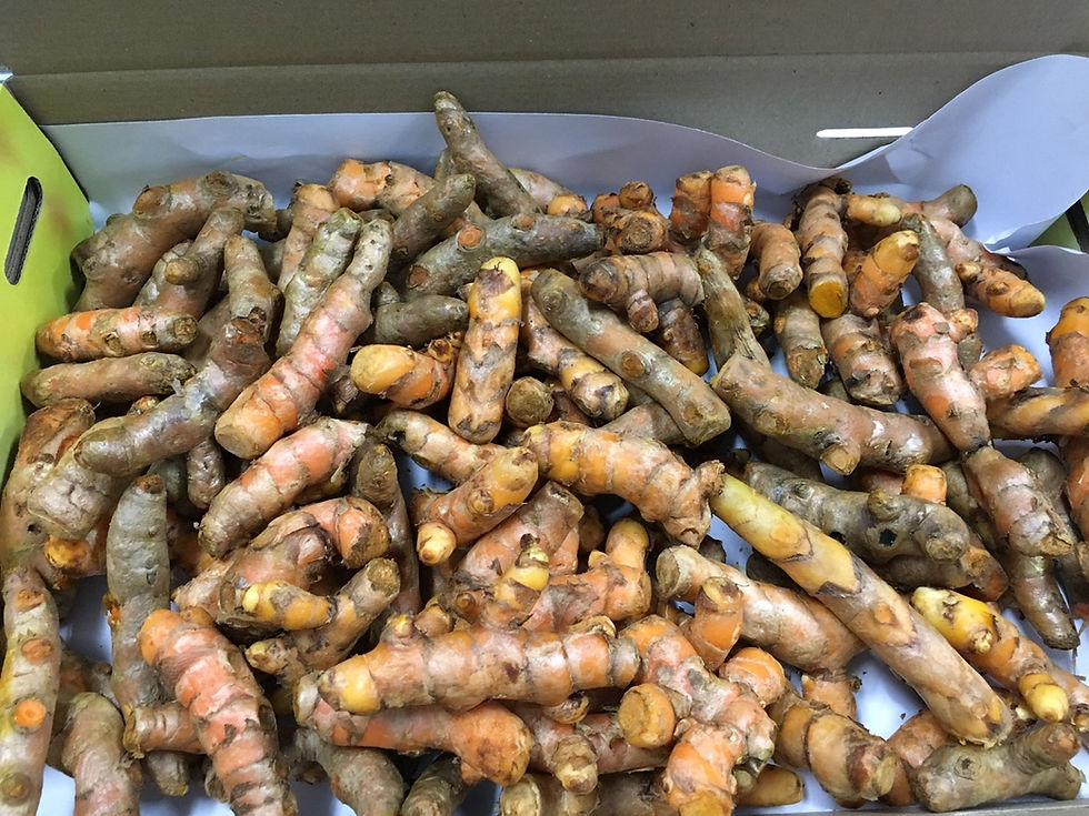 Thumbnail: Yellow Turmeric