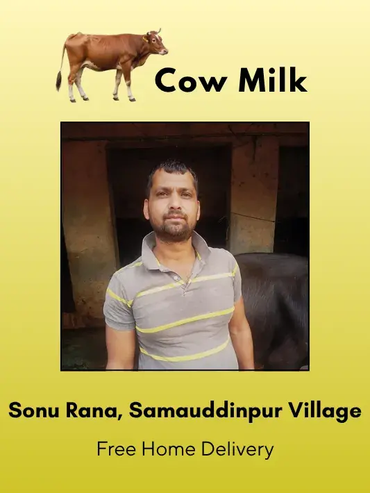 Cow milk