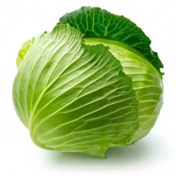 Fresh Cabbage