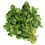 Thumbnail: Fresh Mint (Pudina)
