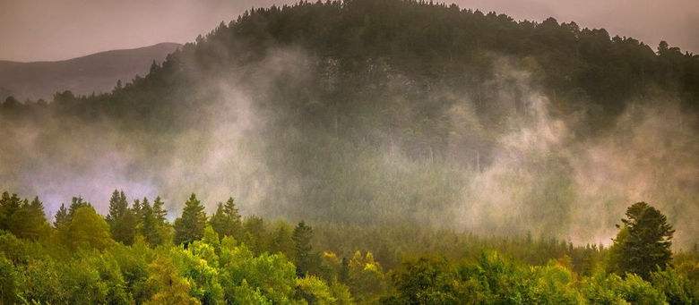 Locating One's Self in the Mist