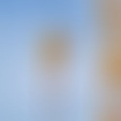 Poleas: Introducción a la Ingeniería Mecánica