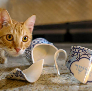 Entropía: Una introducción a la medida del desorden en la naturaleza