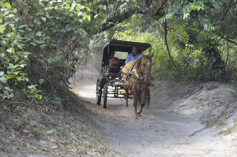 Passeio de charrete no parque nacional da Serra do Cipó, em Minas Gerais