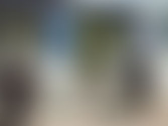 КРАСНОДАР.КРАСНОДАРСКОЕ ДЕЛО ФЕВРАЛЬСКИЕ АРЕСТЫ.