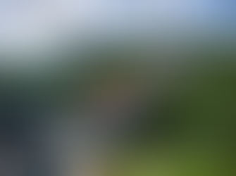 СОЧИ. СКАЙПАРК. МОСТ СУДЬБЫ.