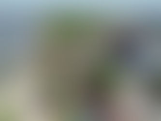 РОСТОВ. ЛЕБЕРДОН ОТ ЗАСТРОЙКИ СПАСАЕТ ПРОКУРАТУРА.