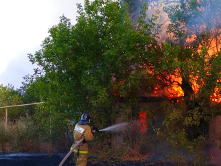 РОСТОВ.ОБЛАСТЬ В ПОЖАРЕ ПОТЕРЯЛА ЛЕСА.