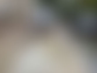 СОЧИ.После потопа курорт чистят.Мэр говорит.