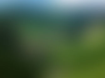 НАЛЬЧИК РЕСП.КБР УРОЧИЩЕ ДЖИЛ-СУ.