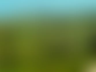 МАГАС.ИНГУШЕТИЯ.БУДЕТ С СВЕТОМ. "РОССЕТИ"