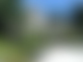 СОЧИ.СПРЯТАТЬ ГОСТИНЦЫ НЕ УДАСТСЯ.