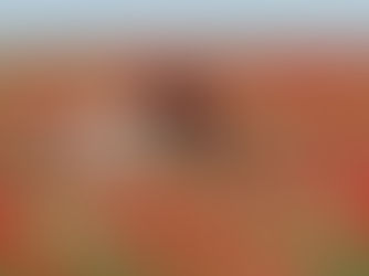 ЭЛИСТА .КАЛМЫКИЯ.УДИВИЛА ТЮЛЬПАНОМ.