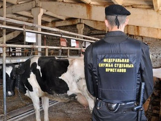 МОСКВА.Приставы намерены усилить взыскание долгов банкам.