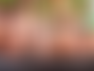 КРАСНОДАР. ДОВЕДЁННЫЕ ДОГОЛА. ПОМОЩЬЮ ГУБЕРНАТОРА..