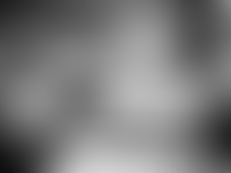 РОСТОВ.ПЕРВЫМ ГОЛОСОНУЛ ЗА МИЛЛИОН. ЗА НИМ ЮГ РФ