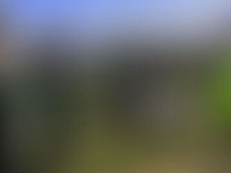 СТАВРОПОЛЬ.КЛАДБИЩА - ЗАПРЕЩЕНЫ !ЗВЕРИ !