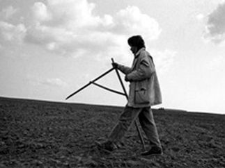 г.Краснодар.ЗЕМЛЮ КУБАНИ ПЕРЕСЧИТАЛИ.УЖАСНУЛИСЬ.