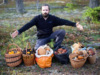 МОСКВА. РАЗРЕШИЛА СОБИРАТЬ ГРИБЫ.