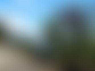 СУХУМ. АБХАЗИЯ.НЕЗАВИСИМАЯ ЗАВИСИМОСТЬ...