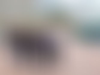 ВОЛГОГРАД.Губернатору-вопросПочем жизнь на госрынке ?