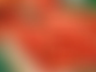 БАКУ АЗЕРБАЙДЖАН.ВОЗВРАЩАЕТСЯ В РФ С ПОМИДОРАМИ.