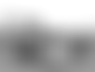 РОСТОВ Н\Д. НА ОСТРОВ ЗЕЛЁНЫЙ- 45 МЛН.РУБЛЕЙ.