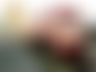 БАКУ.АЗЕРБАЙДЖАН.АЗЕРБАЙДЖАН И ЛИТВА БУДУТ ТРАНСПОРТНЫМИ ПАРТНЁРАМИ.