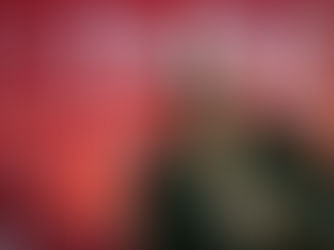 РОСТОВ.УТРАТА СЕРЕБРЯННИКОВА ИЗ МОСКВЫ.