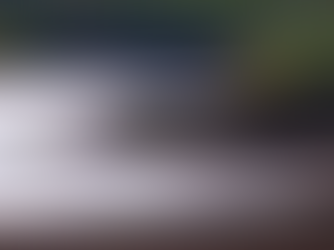 РОСТОВ .ПРИЗВАЛ СПАСАТЬ ДОН.